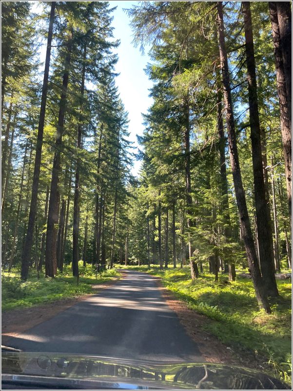 Marion Lake hike (2025-07-12)