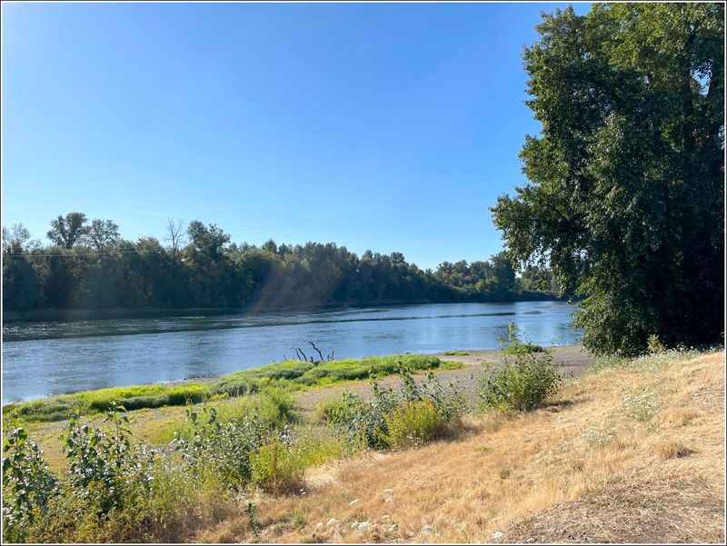 (2025-08-08) Floating the Willamette