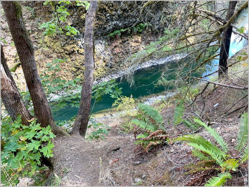 River is much deeper than wide at in this area (2025-08-18)