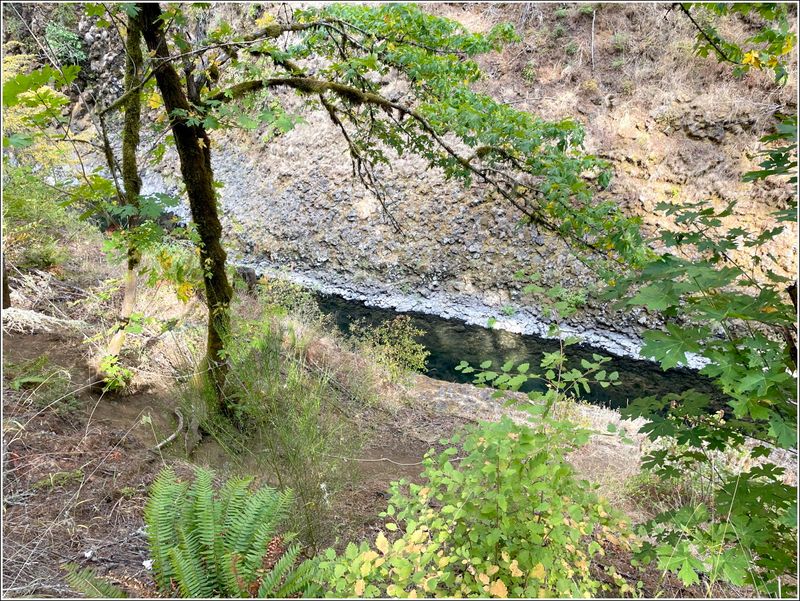 River is much deeper than wide at in this area (2025-08-18)