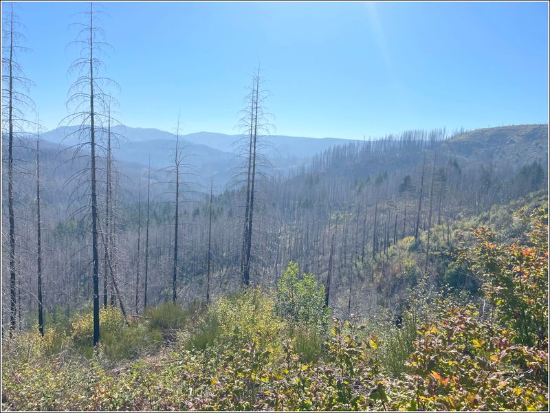  (2025-09-24 - Birthday Hike)