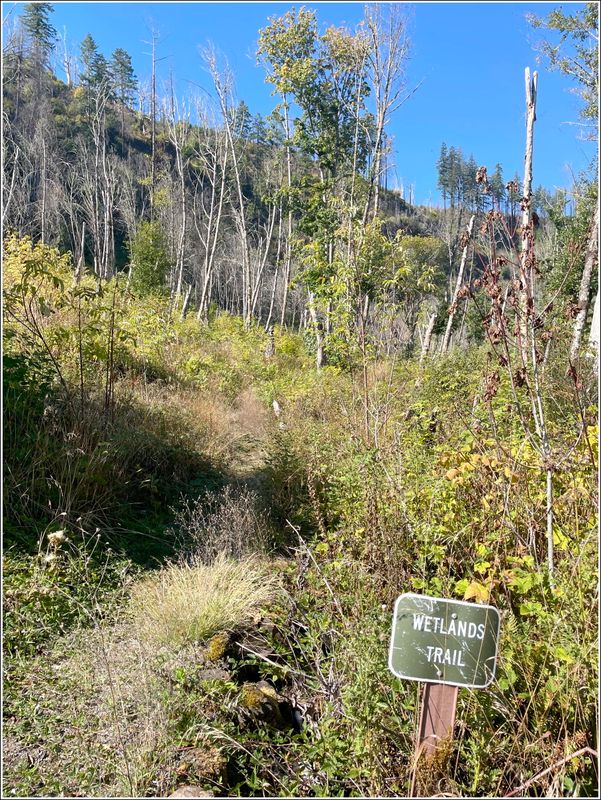  (2025-09-24 - Birthday Hike)