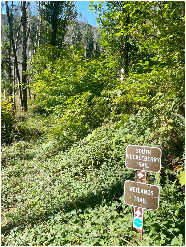  (2025-09-24 - Birthday Hike)