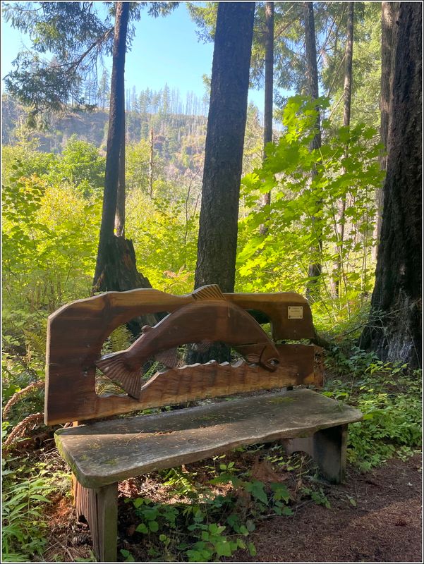  (2025-09-24 - Birthday Hike)