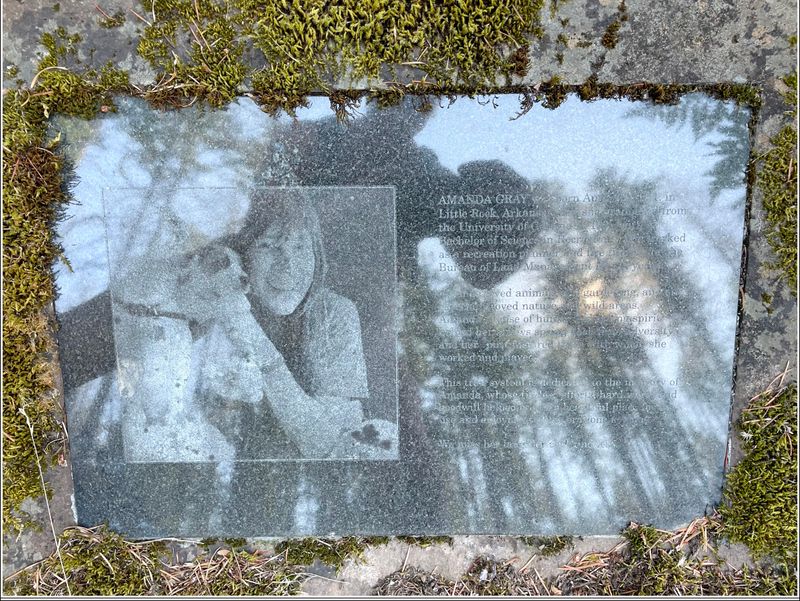  (2025-09-24 - Birthday Hike)