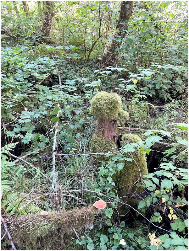  (2025-09-24 - Birthday Hike)