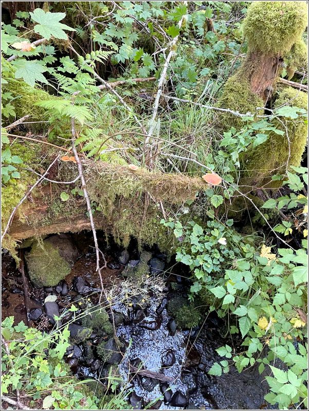 (2025-09-24 - Birthday Hike)