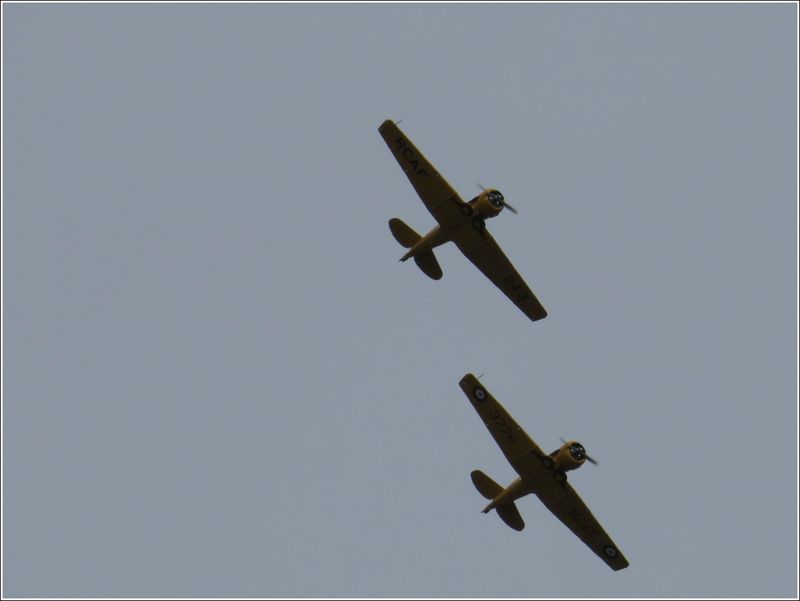 Oregon International Airshow  (2025-09-27)