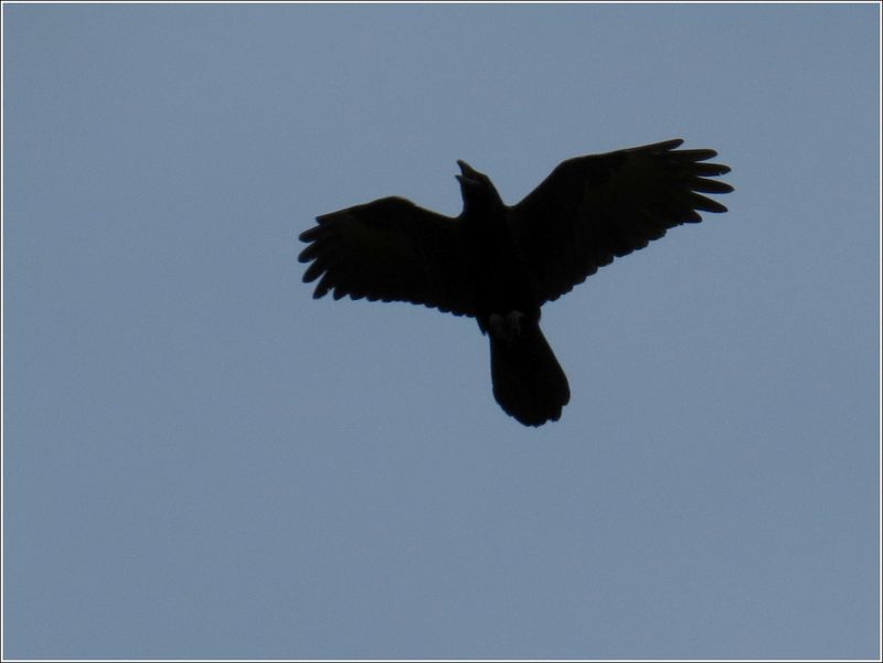 Yes, other flyovers!  (2025-09-27)