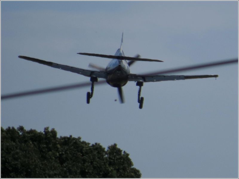 Oregon International Airshow  (2025-09-27)