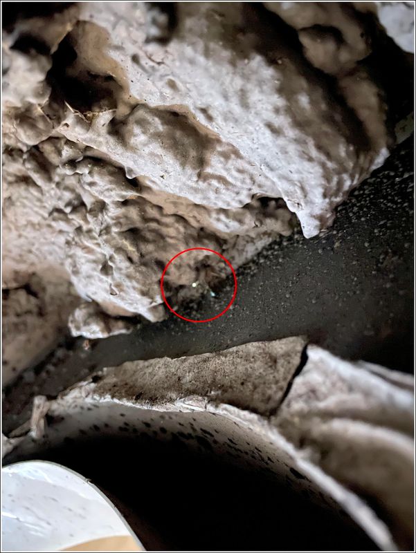 Pinhole leak in fenderwell - no wonder it gets dusty inside!