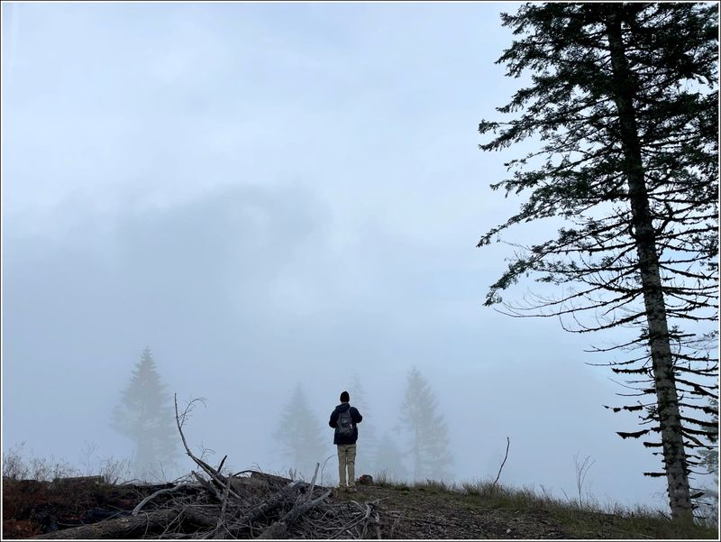 McDonald Forest on a foggy day