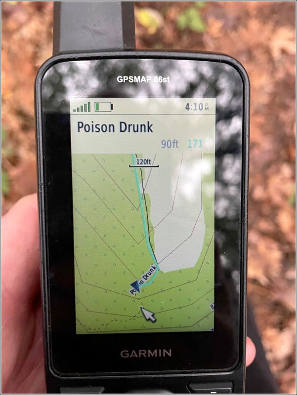 McDonald Forest on a foggy day