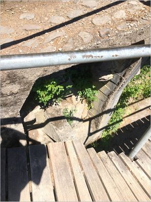 g13/88/791988/3/173712278.f87553c5.JPEG