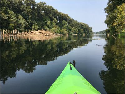 A Kayak trip around Ash Island