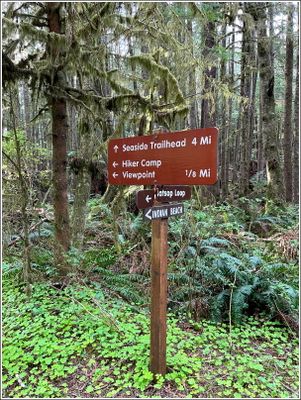 g13/88/791988/3/175354495.8e026e95.JPEG