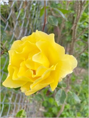 g13/88/791988/3/175460283.0c4b94c9.JPEG