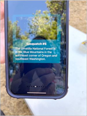 g13/88/791988/3/175808047.0ee2d019.JPEG