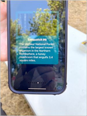 g13/88/791988/3/175808048.d16b6e16.JPEG