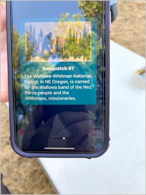 g13/88/791988/3/175808049.0d692530.JPEG
