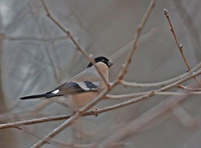 Latest photos in Sweden