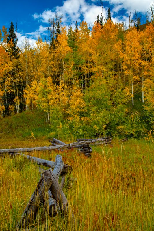 colorado_fall_colors