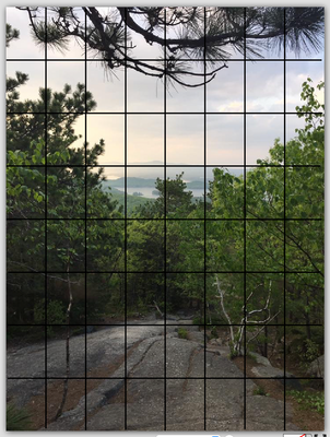 fly_photographs