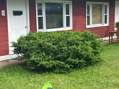 pruned_hedges