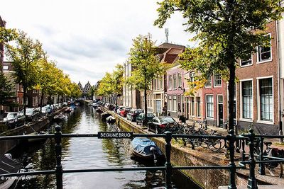 Haarlem.JPG
