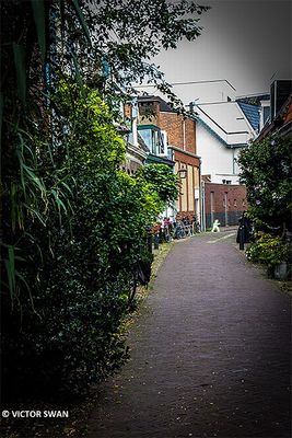 Haarlem.JPG