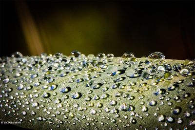 water droplets.jpg