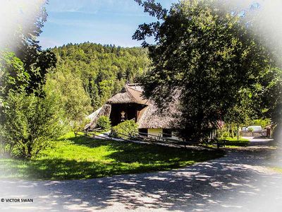 Black forest.JPG