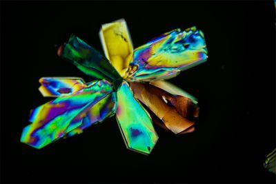 Thymo-septine .JPG
