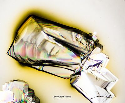 Thymo-septine .JPG