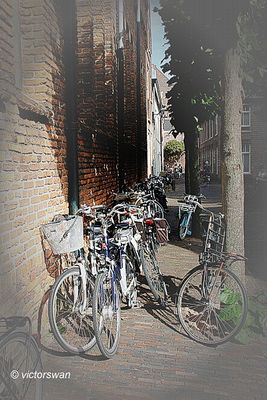 Haarlem.JPG