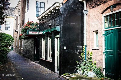 Haarlem.JPG