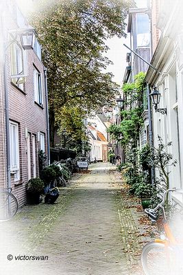 Haarlem.JPG