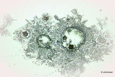 g13/89/1165089/3/173747154.1ad3665b.JPEG