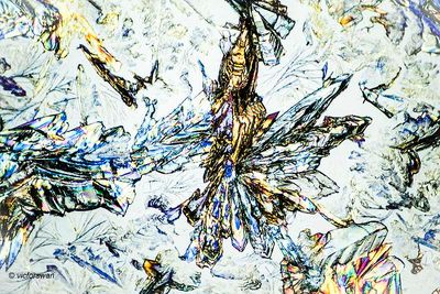 g13/89/1165089/3/173768408.ba467a0e.JPEG