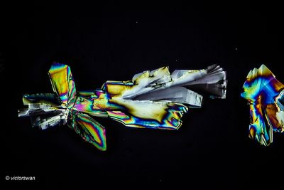 Thymo-septine .JPG