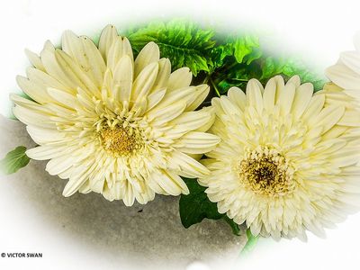 g13/89/1165089/3/173963651.b76cc8b8.JPEG