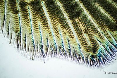 g13/89/1165089/3/174110791.84b1ad32.JPEG