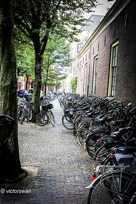 Haarlem.JPG