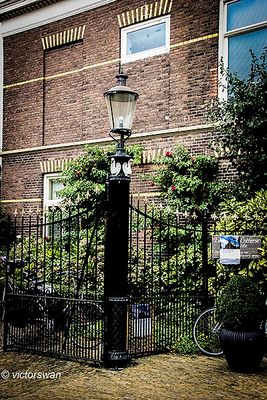 Haarlem.JPG