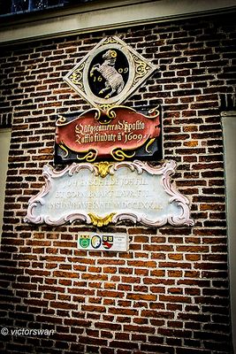 Haarlem.JPG