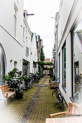 Haarlem.JPG