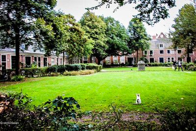 Haarlem.JPG