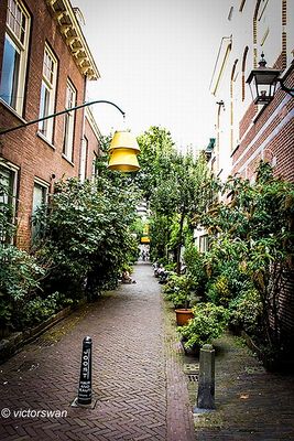 Haarlem.JPG