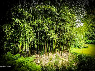 Arboretum kalmthout