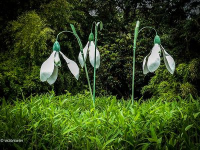 Arboretum kalmthout